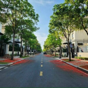 Biệt thự Sala , Quận 2