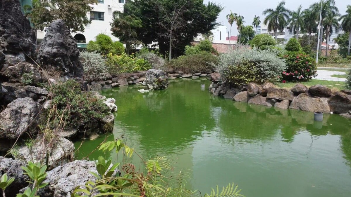 Đất xây biệt thự, khu compound giang văn minh, quận 2