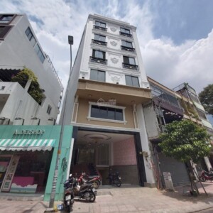 Tòa Nhà Mai Thị Lựu, Đakao, Quận 1