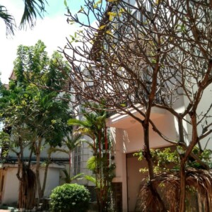 1000m2 Biệt Thự Trần Não,Quận 2